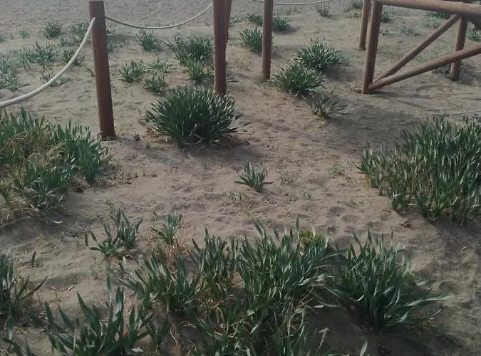 Nature 4* Velez Malaga